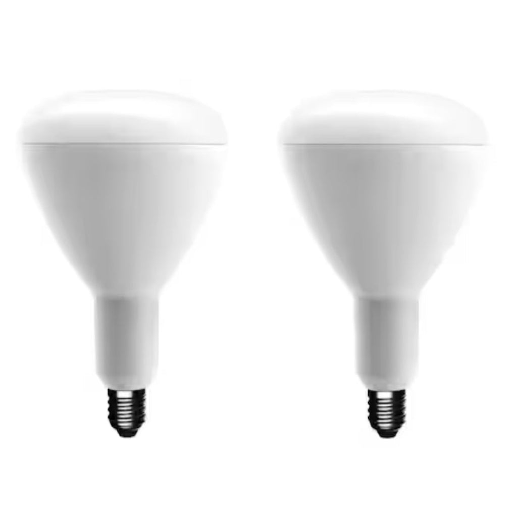EcoSmart 75-Watt Equivalent BR40 Dimmable Energy Star LED Light Bulb Bright White (2-Pack)