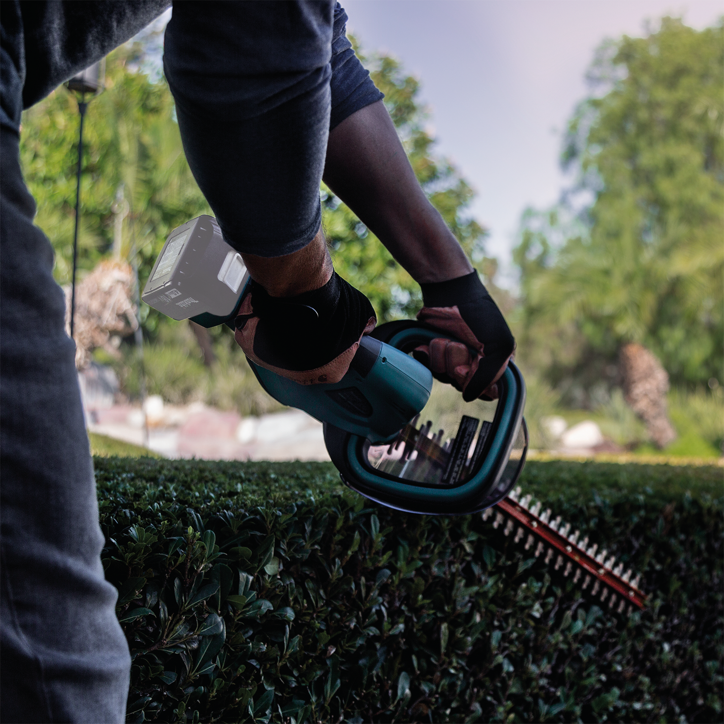 Makita 18 Volt LXT Lithium Ion Cordless 22 Inch Hedge Trimmer Factory Serviced (Tool Only)