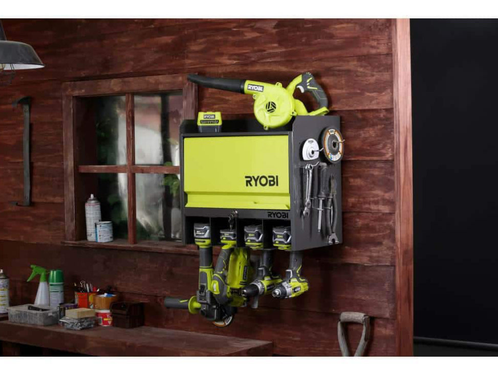 RYOBI Steel 2-Shelf Wall Mounted Garage Cabinet in Black (17 in W x 11 in H x 19 in D)