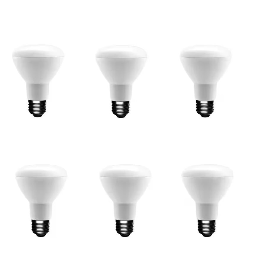 Ecosmart 50-Watt Equivalent BR20 Dimmable LED Light Bulb Daylight (6-Pack) Damaged Box