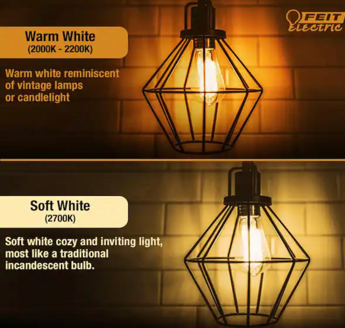 Feit Electric 60-Watt ST19 Dimmable Cage Filament Amber Glass E26 Incandescent Vintage Edison Light Bulb, Warm White (6-Pack) - Damaged Box