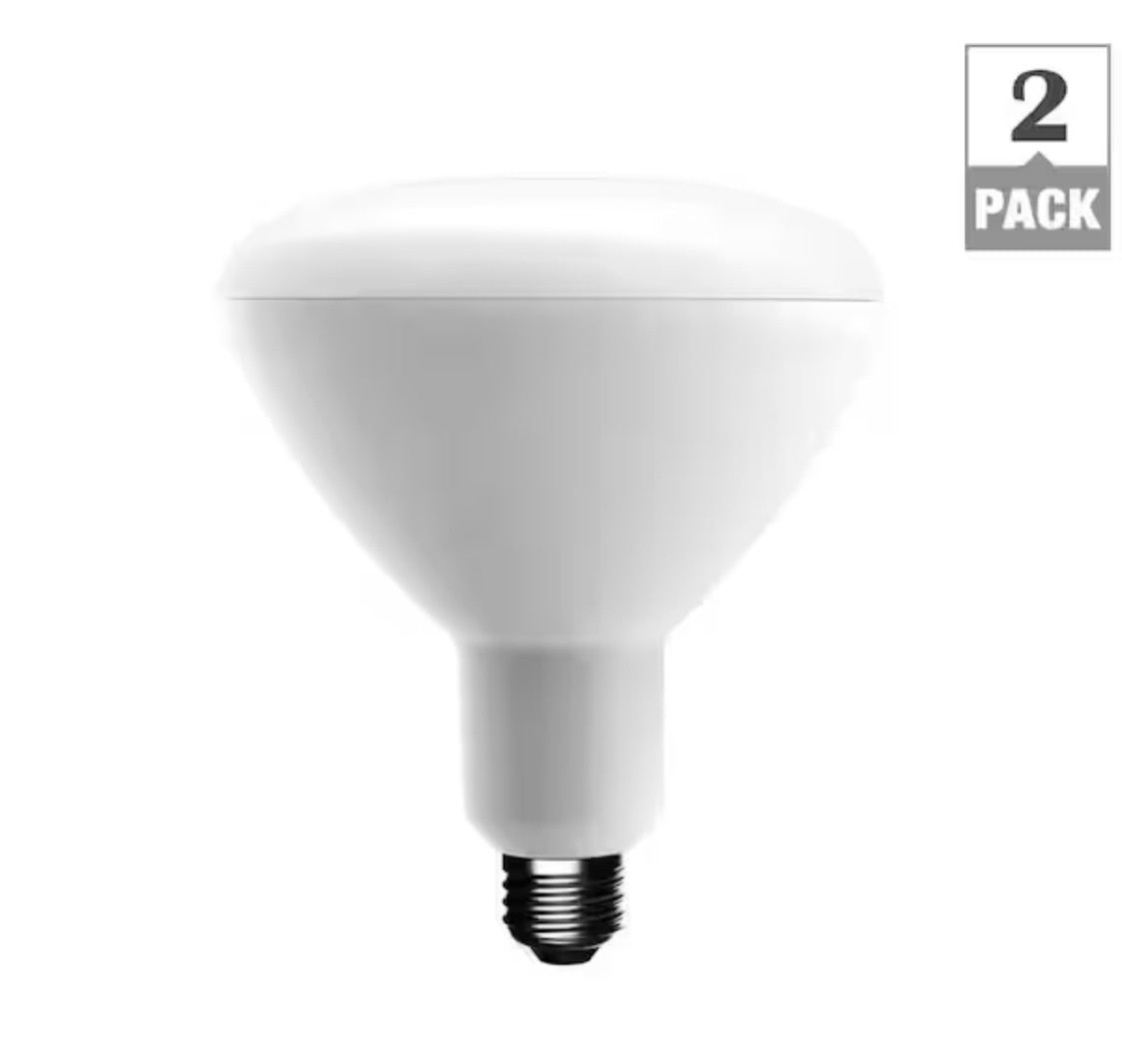 EcoSmart 75-Watt Equivalent BR40 Dimmable Energy Star LED Light Bulb Bright White (2-Pack)