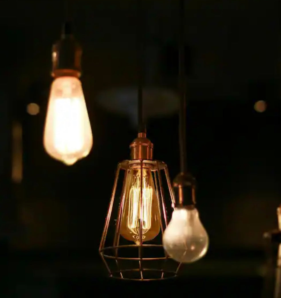 Feit Electric 60-Watt ST19 Dimmable Cage Filament Amber Glass E26 Incandescent Vintage Edison Light Bulb, Warm White (6-Pack) - Damaged Box