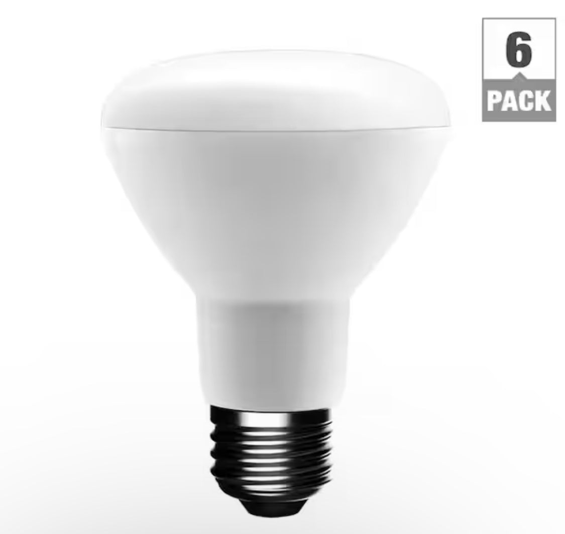 Ecosmart 50 Watt Equivalent R20 Dimmable LED Light Bulb Soft White (6-Pack) Damaged Box