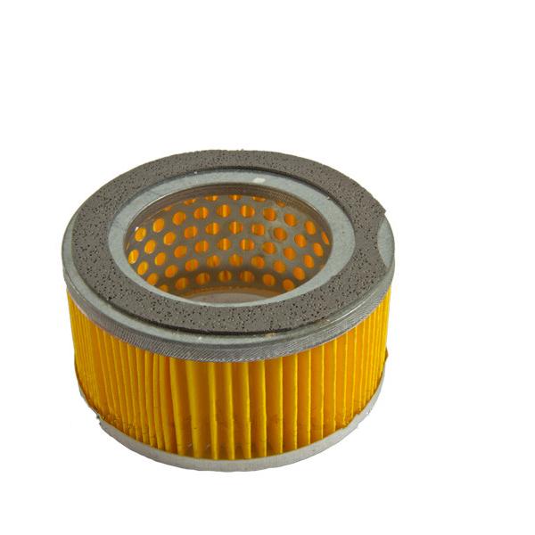 Intake Filter Element Kit