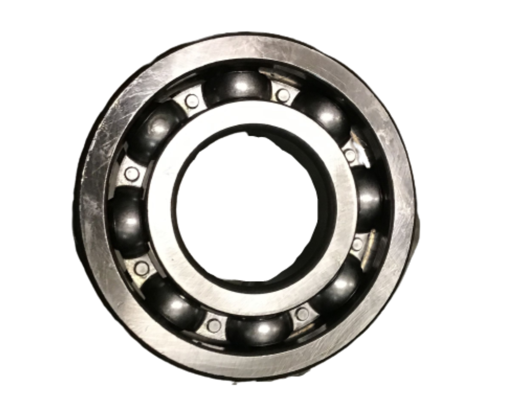 Rear Bearing