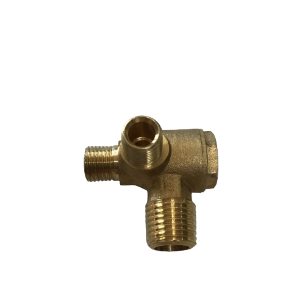 Check Valve