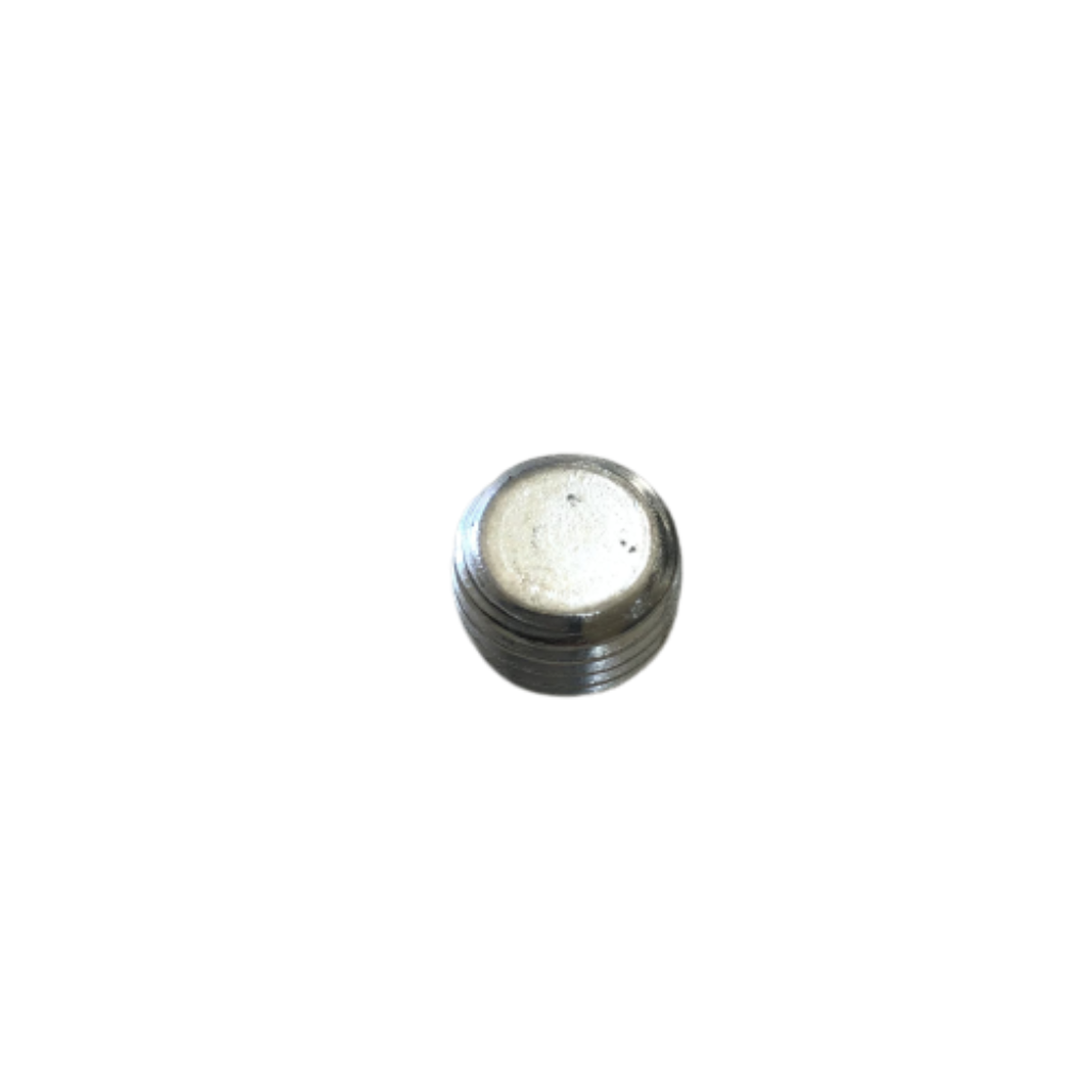 Manifold Plug