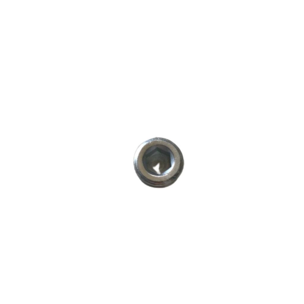 Manifold Plug