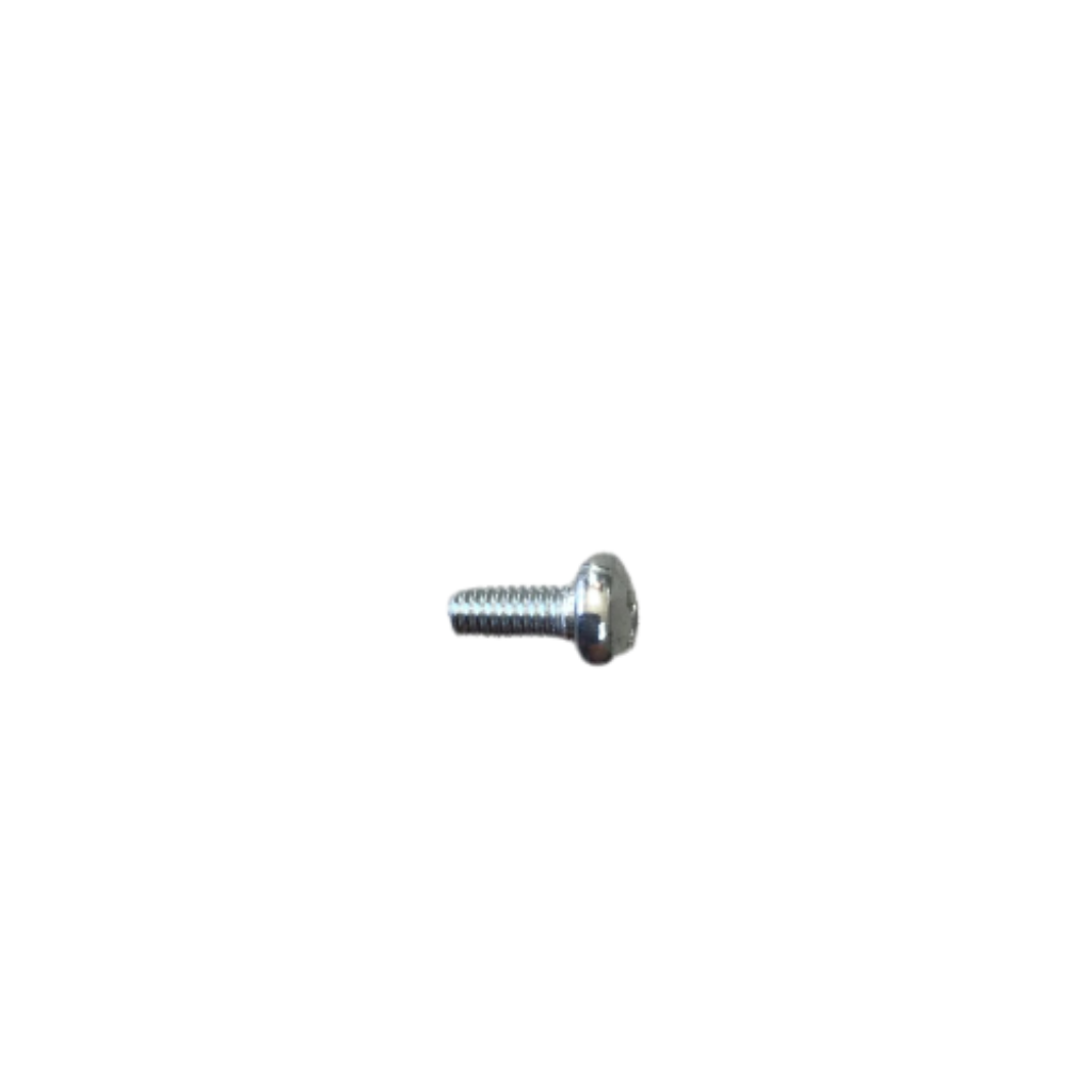 Mounting Screw