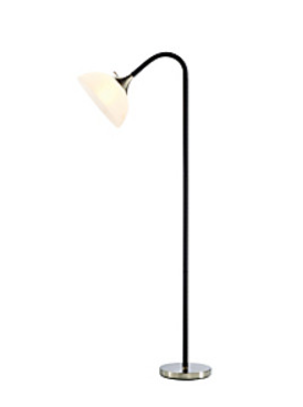 Black Gander Floor Lamp Damaged Box