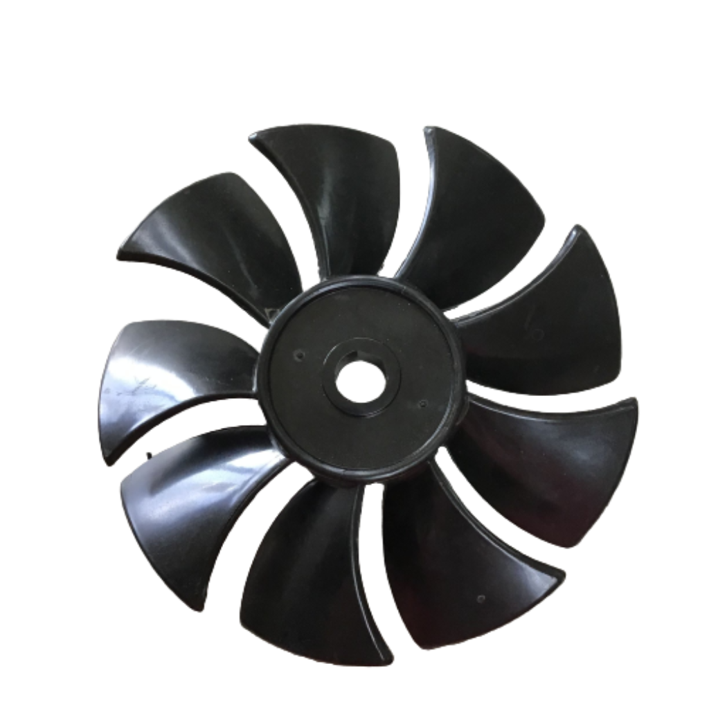 A Fan