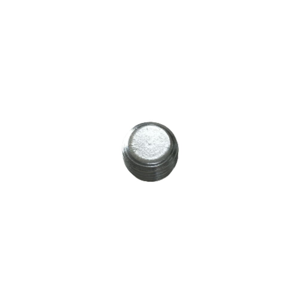 Manifold Plug