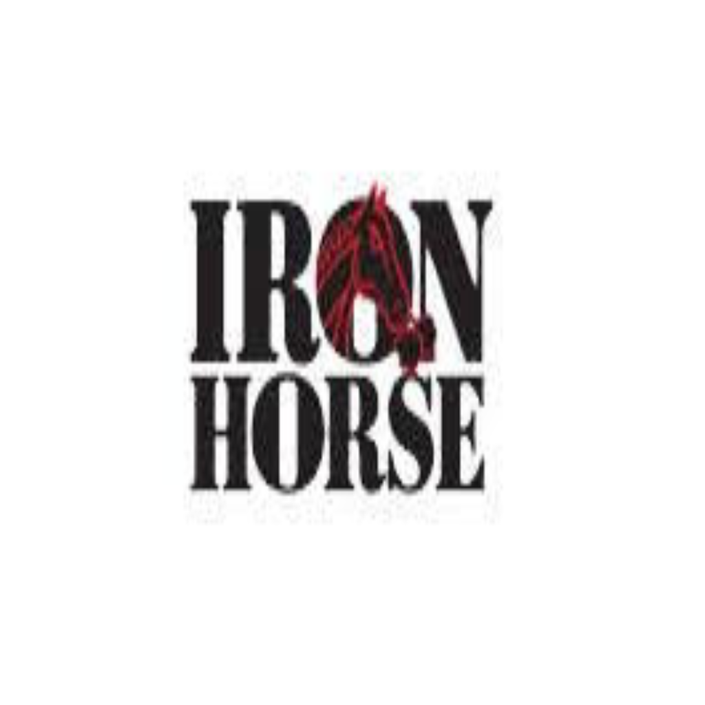 Iron Horse 50 Foot Braided Air Hose