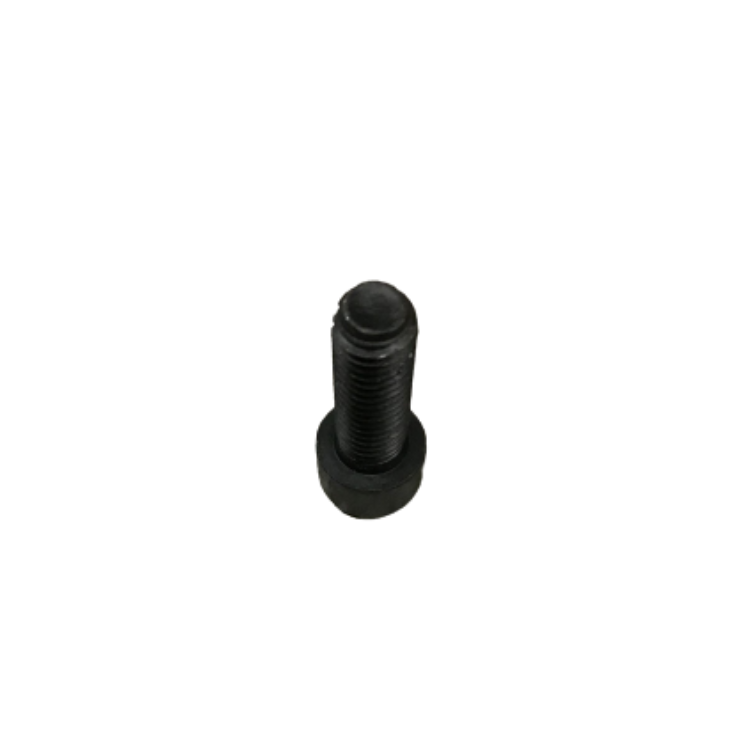 Air Filter Assembly Bolt
