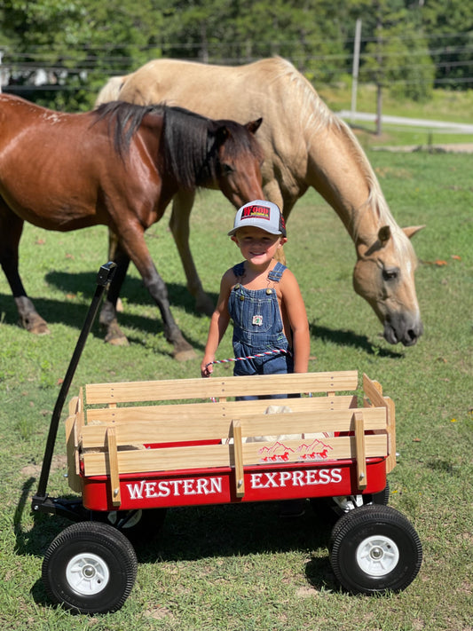 Western Express All Terrain Red Wagon