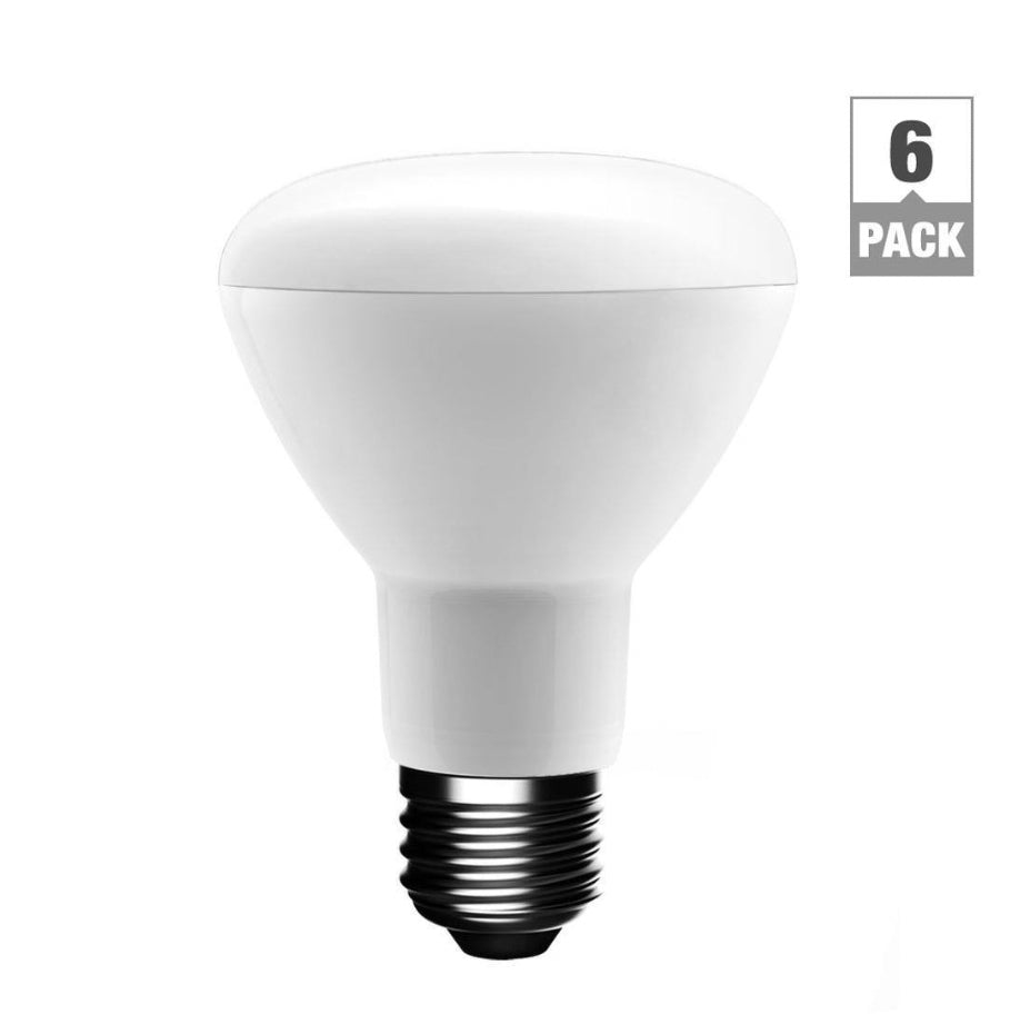 Ecosmart 50-Watt Equivalent BR20 Dimmable LED Light Bulb Daylight (6-Pack) Damaged Box