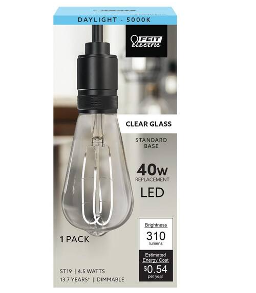 Feit Electric 40-Watt Equivalent ST19 Dimmable M-Shape Filament Clear Glass E26 Vintage Edison LED Light Bulb, Daylight 5000K Damaged Box