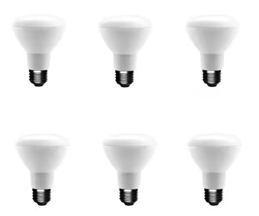 Ecosmart 50 Watt Equivalent R20 Dimmable LED Light Bulb Soft White (6-Pack) Damaged Box