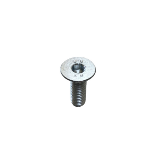 Piston Screw