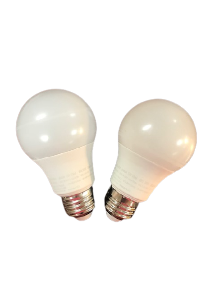 Globe LED 60 Watt Light Bulbs 2 Pack