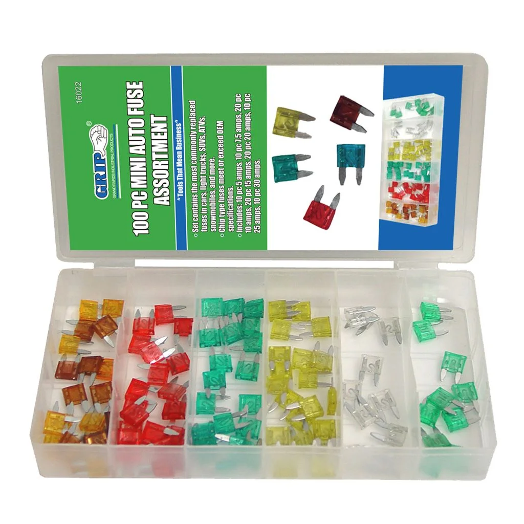 100 Piece Mini Auto Fuse Assortment